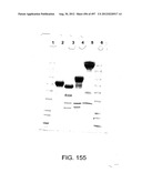 Glycopegylation Methods and Proteins/Peptides Produced by the Methods diagram and image