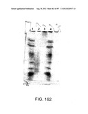 Glycopegylation Methods and Proteins/Peptides Produced by the Methods diagram and image