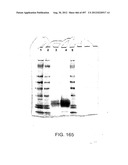 Glycopegylation Methods and Proteins/Peptides Produced by the Methods diagram and image