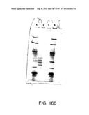 Glycopegylation Methods and Proteins/Peptides Produced by the Methods diagram and image