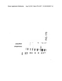 Glycopegylation Methods and Proteins/Peptides Produced by the Methods diagram and image