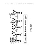 Glycopegylation Methods and Proteins/Peptides Produced by the Methods diagram and image