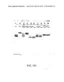 Glycopegylation Methods and Proteins/Peptides Produced by the Methods diagram and image