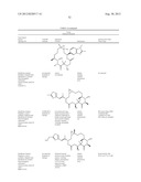 Glycopegylation Methods and Proteins/Peptides Produced by the Methods diagram and image