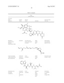 Glycopegylation Methods and Proteins/Peptides Produced by the Methods diagram and image