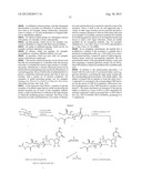 Glycopegylation Methods and Proteins/Peptides Produced by the Methods diagram and image