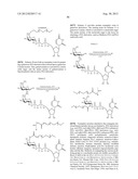 Glycopegylation Methods and Proteins/Peptides Produced by the Methods diagram and image