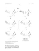 Glycopegylation Methods and Proteins/Peptides Produced by the Methods diagram and image