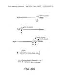 Glycopegylation Methods and Proteins/Peptides Produced by the Methods diagram and image