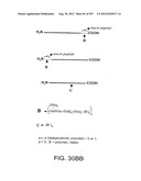 Glycopegylation Methods and Proteins/Peptides Produced by the Methods diagram and image