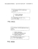 Glycopegylation Methods and Proteins/Peptides Produced by the Methods diagram and image