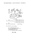 Glycopegylation Methods and Proteins/Peptides Produced by the Methods diagram and image