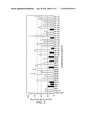 Peptide Aptamers that Bind to the Rep Proteins of ssDNA Viruses diagram and image