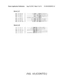 Peptide Aptamers that Bind to the Rep Proteins of ssDNA Viruses diagram and image