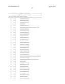 Peptide Aptamers that Bind to the Rep Proteins of ssDNA Viruses diagram and image