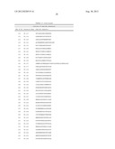 Peptide Aptamers that Bind to the Rep Proteins of ssDNA Viruses diagram and image