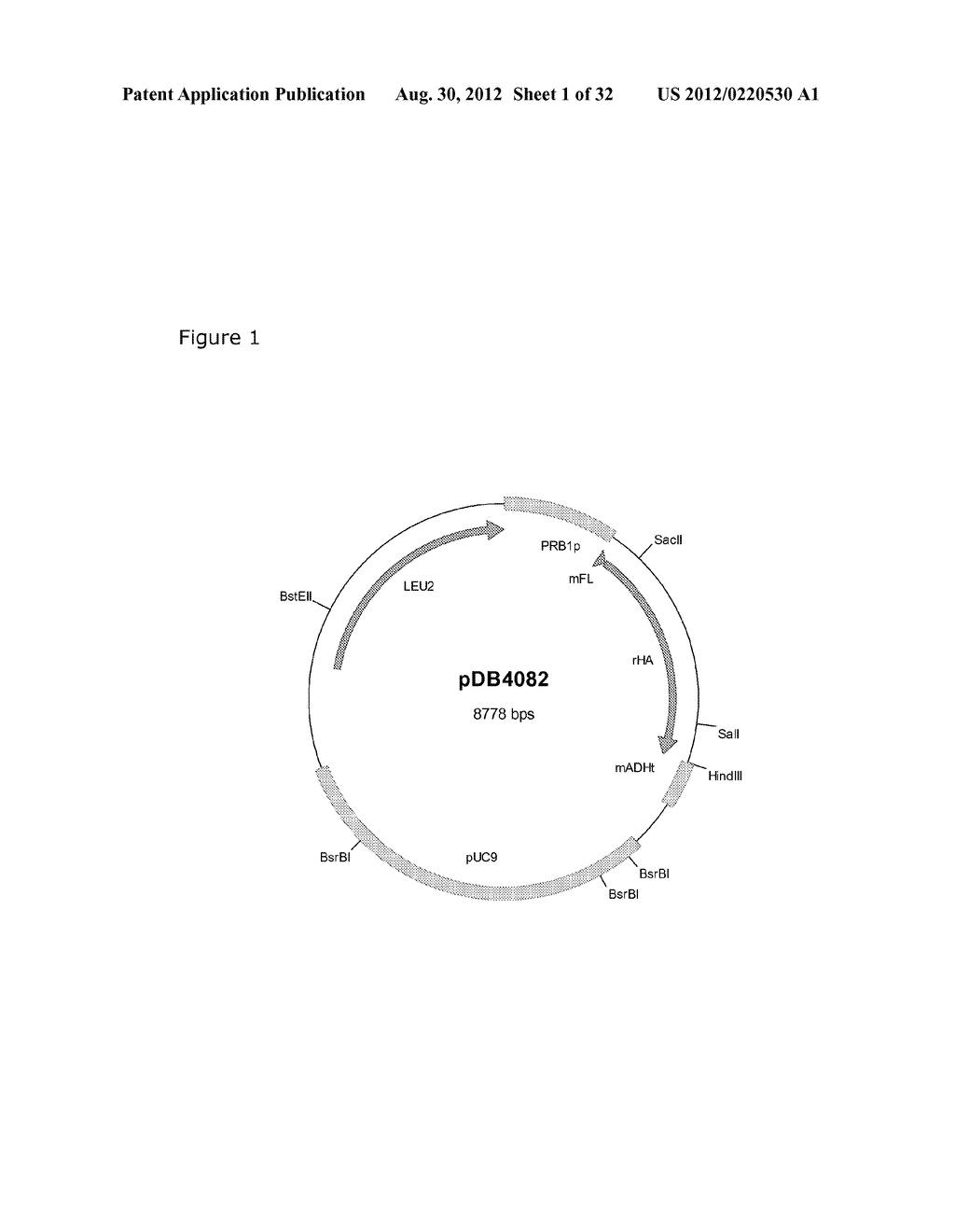 ALBUMIN VARIANTS - diagram, schematic, and image 02