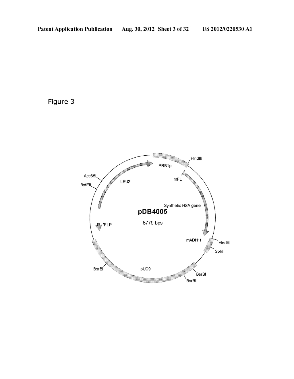 ALBUMIN VARIANTS - diagram, schematic, and image 04