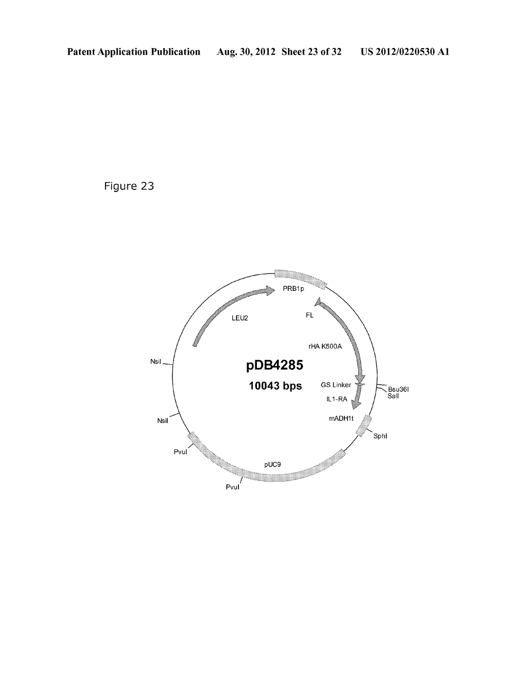 ALBUMIN VARIANTS - diagram, schematic, and image 24