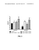 MODULATING NEUROMUSCULAR JUNCTION DENSITY CHANGES IN BOTULINUM-TOXIN     TREATED TISSUE diagram and image