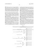 PEGYLATED C-PEPTIDE diagram and image