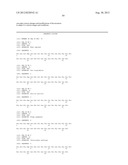 PEGYLATED C-PEPTIDE diagram and image