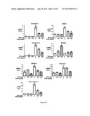 COMPOSTIONS DESIGNED FOR THE INHIBITION AND/OR BLOCKING OF THE     EPITHELIAL/MESENCHYMAL TRANSITION diagram and image