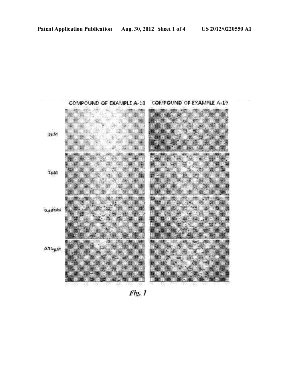 PYRAZOLE DERIVATIVES, PREPARATION METHOD THEREOF, AND COMPOSITION FOR     PREVENTION AND TREATMENT OF OSTEOPOROSIS CONTAINING SAME - diagram, schematic, and image 02