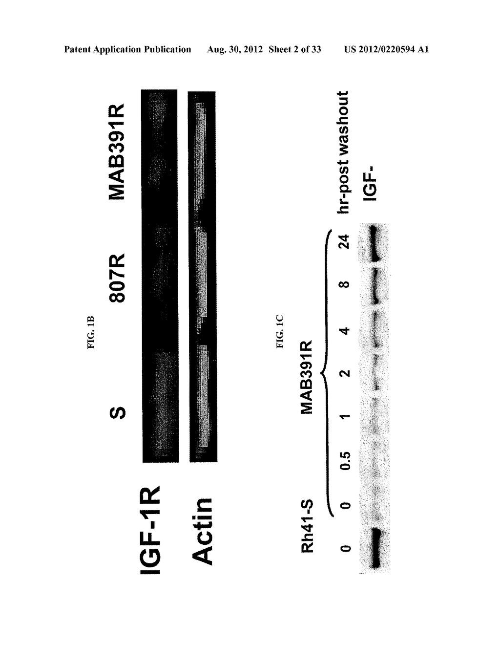 METHODS FOR TREATING CANCER IN PATIENTS HAVING IGF-1R INHIBITOR RESISTANCE - diagram, schematic, and image 03