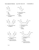 CYSTEINE AND CYSTINE PRODRUGS TO TREAT SCHIZOPHRENIA AND REDUCE DRUG     CRAVINGS diagram and image