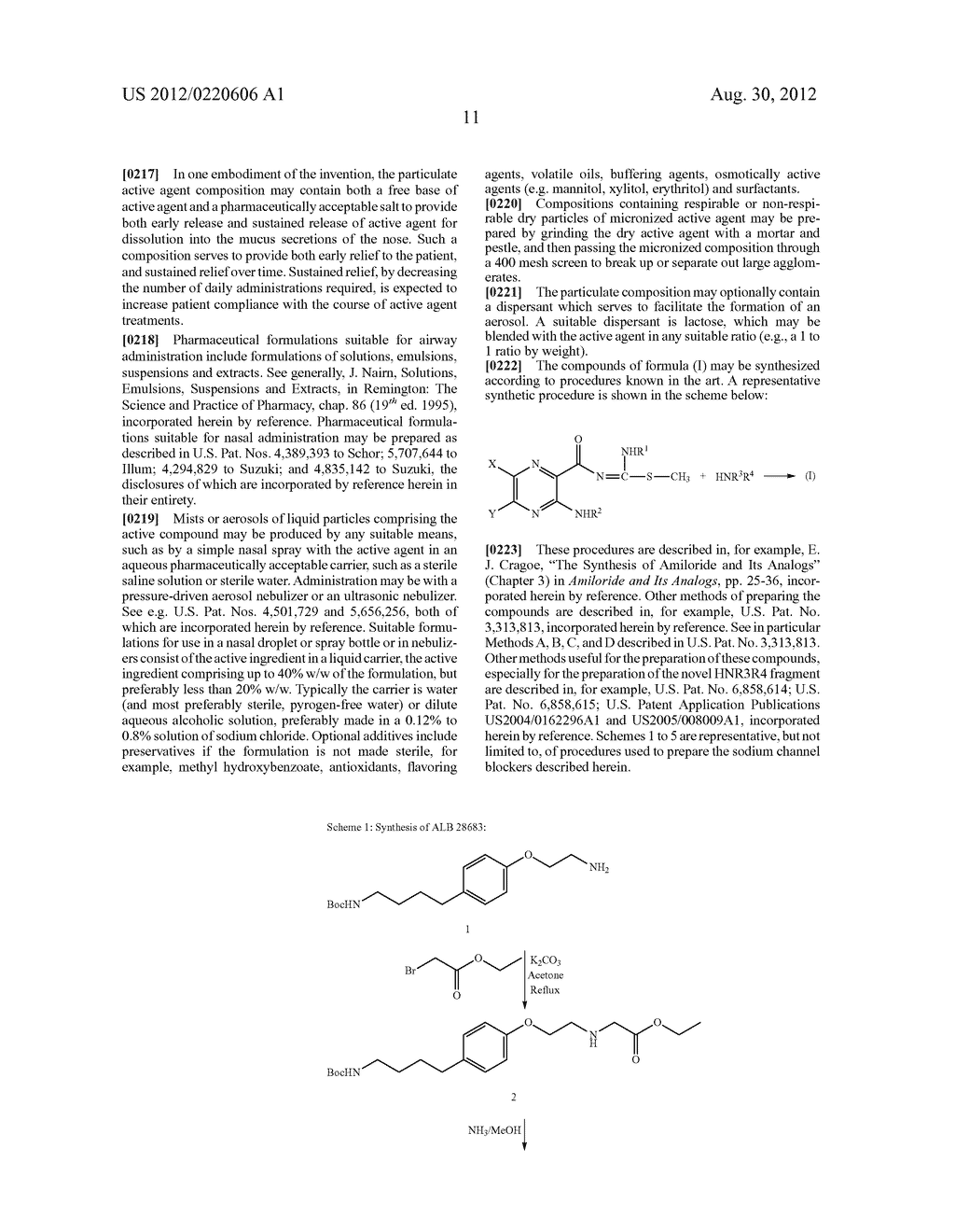 NEW CAPPED PYRAZINOYLGUANIDINE SODIUM CHANNEL BLOCKERS - diagram, schematic, and image 12