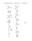 Taxane Compounds, Compositions And Methods diagram and image