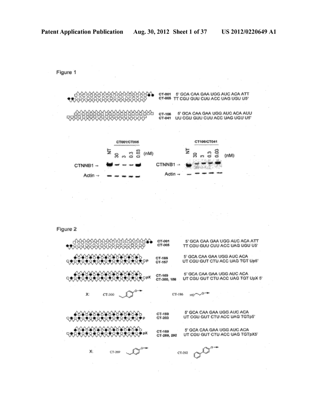 MODIFIED DOUBLE-STRANDED POLYNUCLEOTIDE - diagram, schematic, and image 02