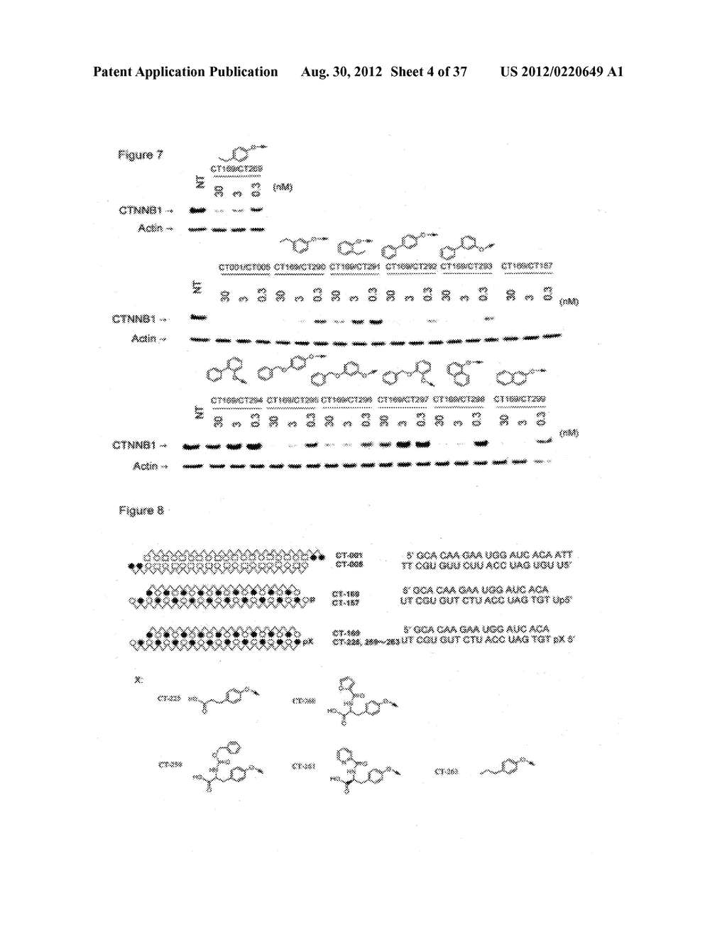 MODIFIED DOUBLE-STRANDED POLYNUCLEOTIDE - diagram, schematic, and image 05