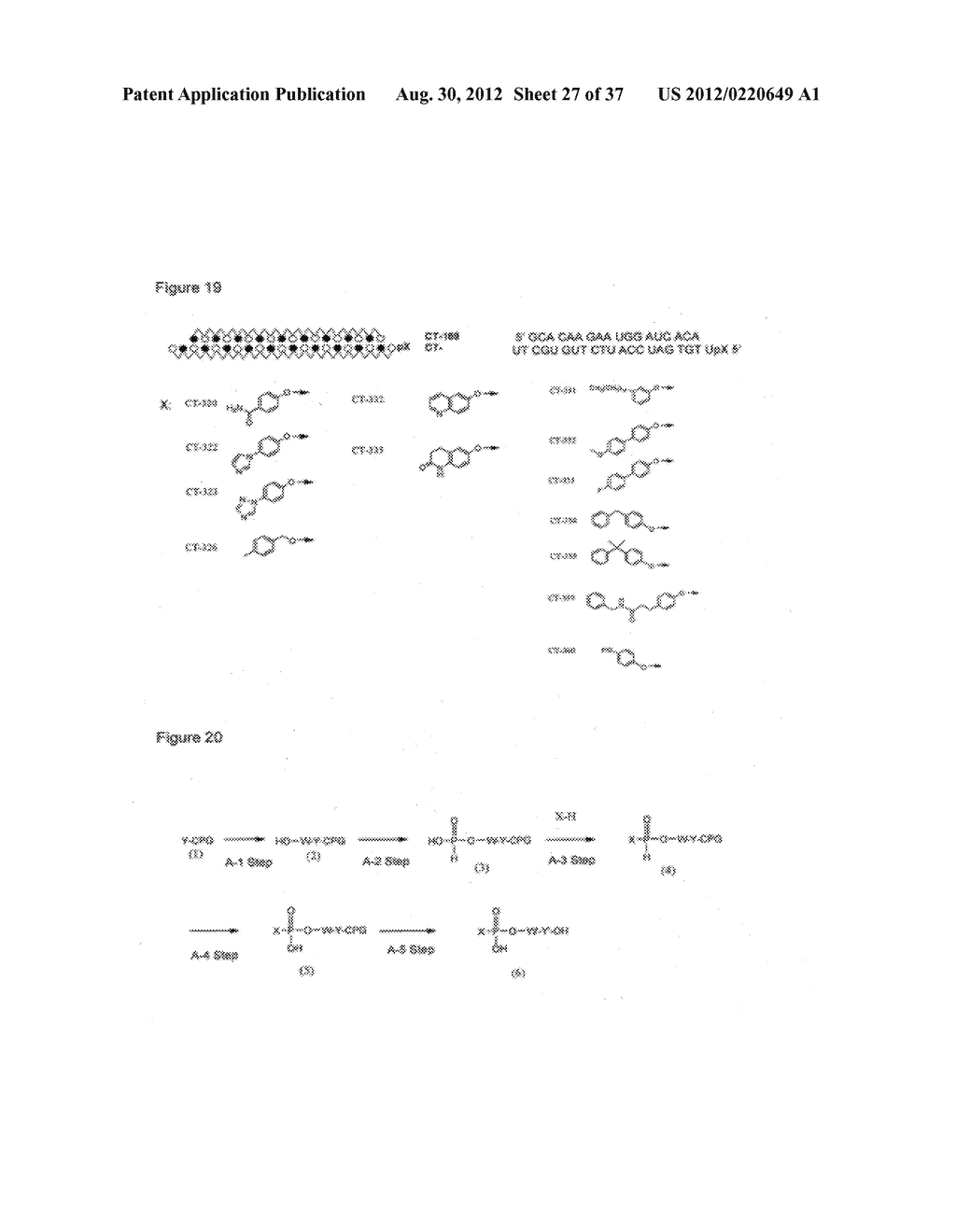 MODIFIED DOUBLE-STRANDED POLYNUCLEOTIDE - diagram, schematic, and image 28