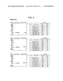 FUNCTIONAL MICROBIALLY FERMENTED TEA EXTRACT CONTAINING POLYPHENOL     DERIVATIVE AND METHOD FOR PRODUCING THE SAME diagram and image