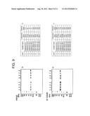 FUNCTIONAL MICROBIALLY FERMENTED TEA EXTRACT CONTAINING POLYPHENOL     DERIVATIVE AND METHOD FOR PRODUCING THE SAME diagram and image