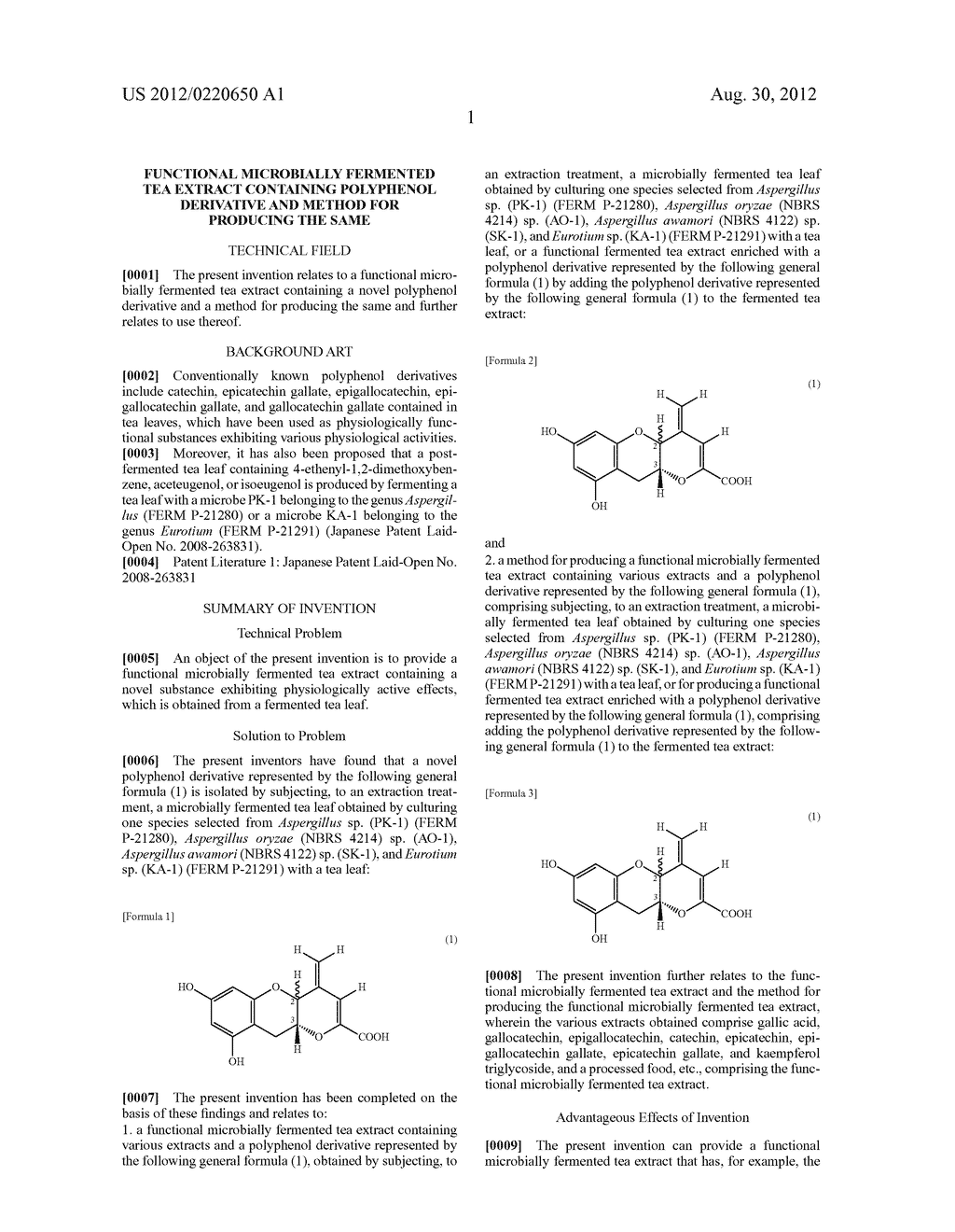 FUNCTIONAL MICROBIALLY FERMENTED TEA EXTRACT CONTAINING POLYPHENOL     DERIVATIVE AND METHOD FOR PRODUCING THE SAME - diagram, schematic, and image 13