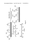 FUNCTIONALIZED CELL BINDING PEPTIDES AND CELL CULTURE ARTICLES diagram and image