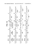 SURFACE MODIFYING MACROMOLECULES WITH HIGH DEGRADATION TEMPERATURES AND     USES THEREOF diagram and image