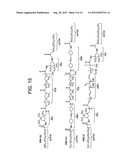 SURFACE MODIFYING MACROMOLECULES WITH HIGH DEGRADATION TEMPERATURES AND     USES THEREOF diagram and image