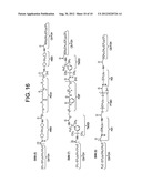 SURFACE MODIFYING MACROMOLECULES WITH HIGH DEGRADATION TEMPERATURES AND     USES THEREOF diagram and image