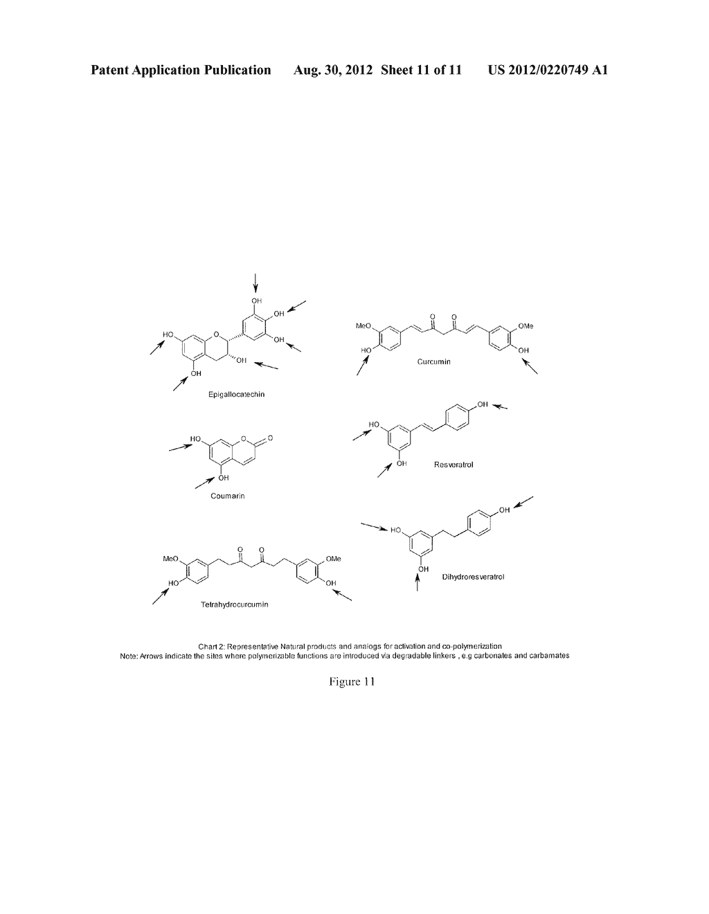 COMBINATIORIAL POLYMERIC COMPOSITIONS FOR DRUG DELIVERY - diagram, schematic, and image 12