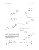 SULTONE COMPOUND DERIVATIVES SUBSTITUTED BY NUCLEOPHILES, IN PARTICULAR     RADIONUCLIDES, AND USE THEREOF FOR MARKING MACROMOLECULES diagram and image