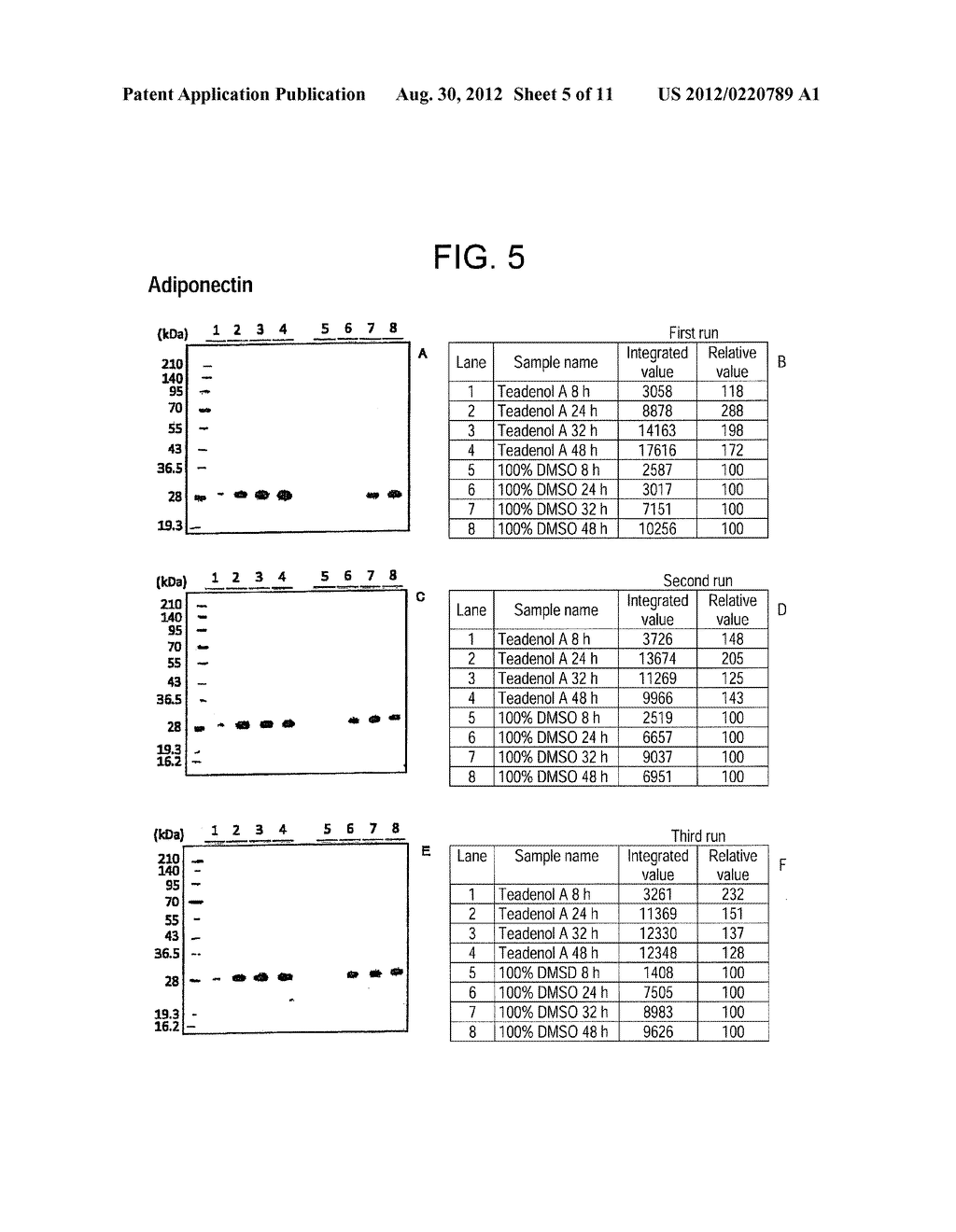 POLYPHENOL DERIVATIVE AND METHOD FOR PRODUCING THE SAME - diagram, schematic, and image 06