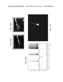 PHOTOLABILE COMPOUNDS diagram and image