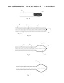 Central Nervous System Treatment Device and Methodology diagram and image