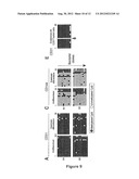 Long Hepitype Distribution (LHD) diagram and image