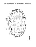 HYBRID CERAMIC SHOWERHEAD diagram and image