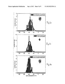 SPIN FILTER DEVICE, METHOD FOR ITS MANUFACTURE AND ITS USE diagram and image